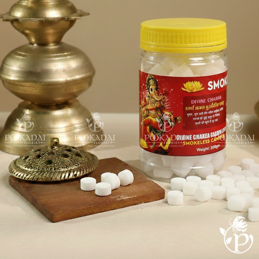 Divine Chakra - Smokeless Camphor  - 200grms