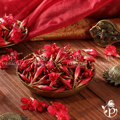Fresh Arali / Ganneru Flowers