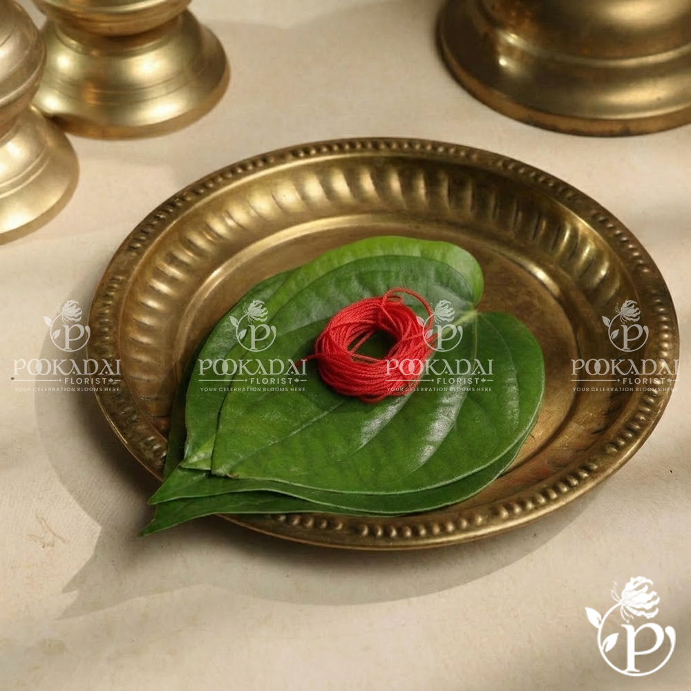 Ritual Protection Thread – Religious Colour Silk Thread (1m / 10m)