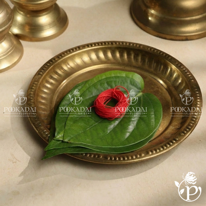 Ritual Protection Thread – Religious Colour Silk Thread (1m / 10m)