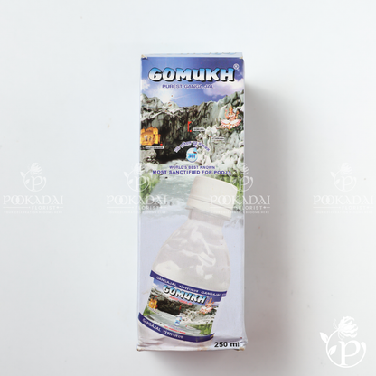 GOMUKH Gangajal Pure Bottle | Holy Ganga Water | Ganga Theertham