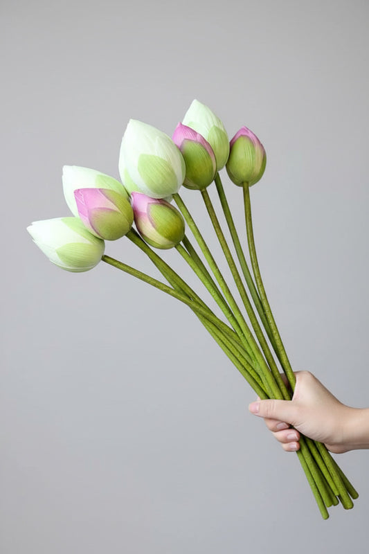 Lotus Long Stem (Single)