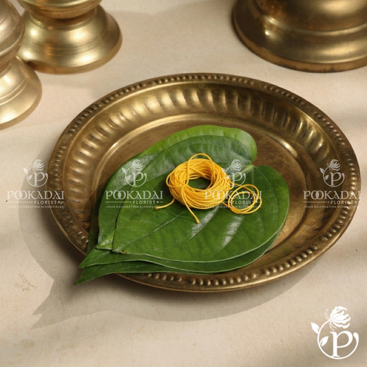 Ritual Protection Thread – Religious Colour Silk Thread (1m / 10m)