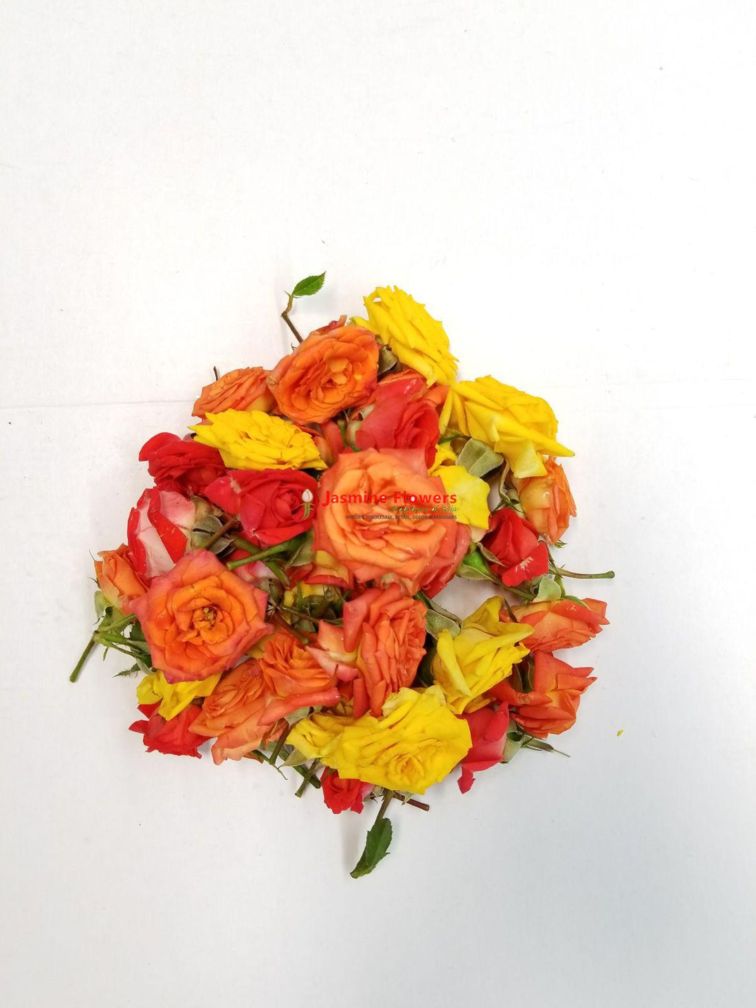 Button Up Roses Fresh Button Roses – Pookadai Florist Toronto