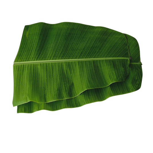 Banana Leaf