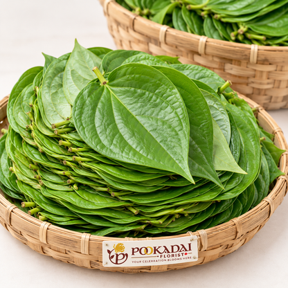 Betel Leaves | Vetrilai | Paan Patta – Basket (1000 Leaves)