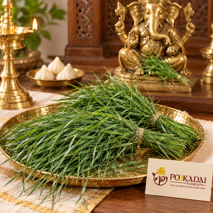 Arugam Grass | Sacred Grass | Durva – Bulk Box (10 KG)
