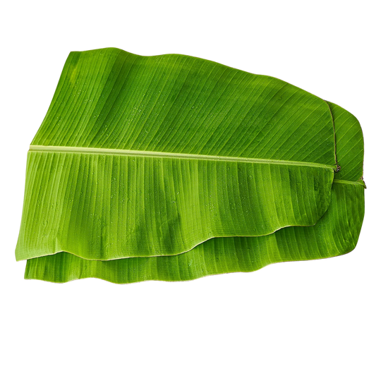 Fresh Banana Leaf