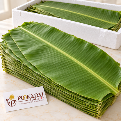 Fresh Banana Leaves | Vazhai Elai – Bulk Box (100 Leaves)