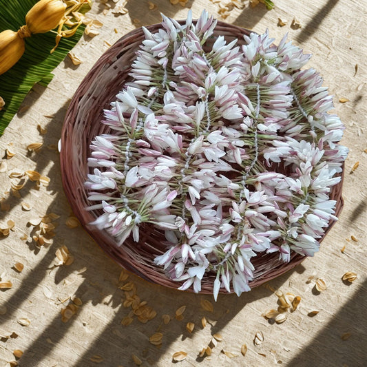 Hand-strung Jathi (Royal Jasmine) Pitchi Poo strings for traditional South Indian pooja and hair styling.