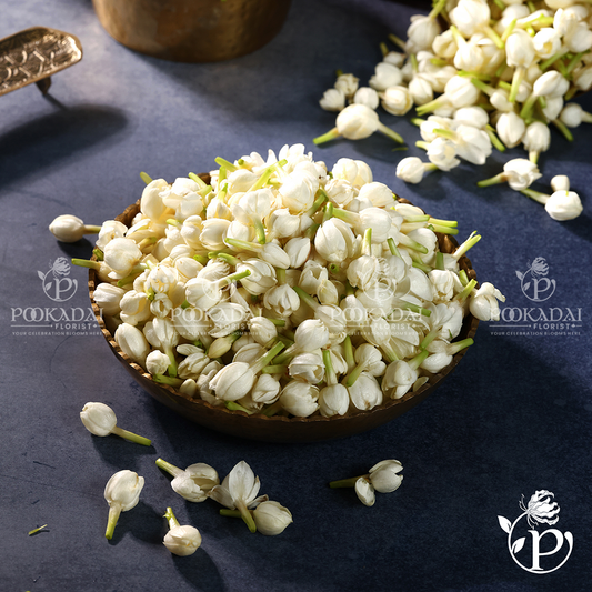Fresh Jasmine (Malli) / Mogra
