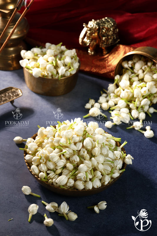 Fresh Jasmine (Malli) / Mogra