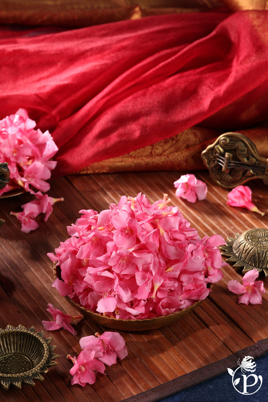 Fresh Arali / Ganneru Flowers