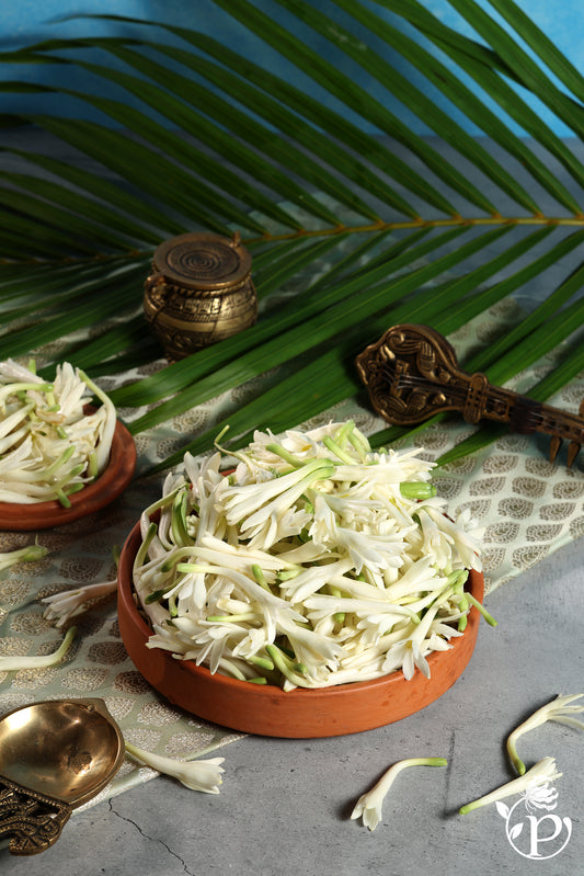 Sampangi  or Rajanigandha or Nishigandha