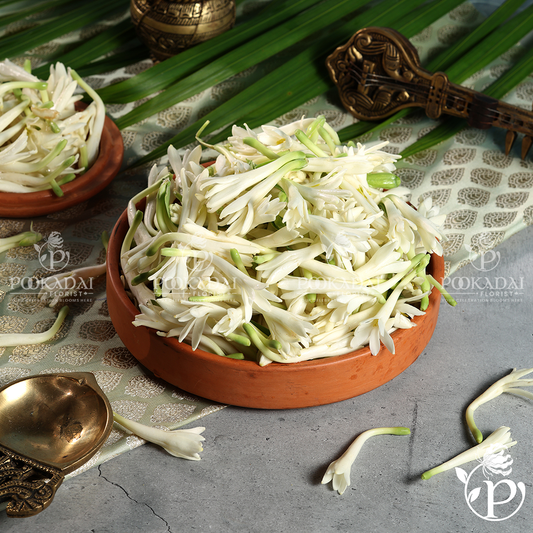 Sampangi  or Rajanigandha or Nishigandha