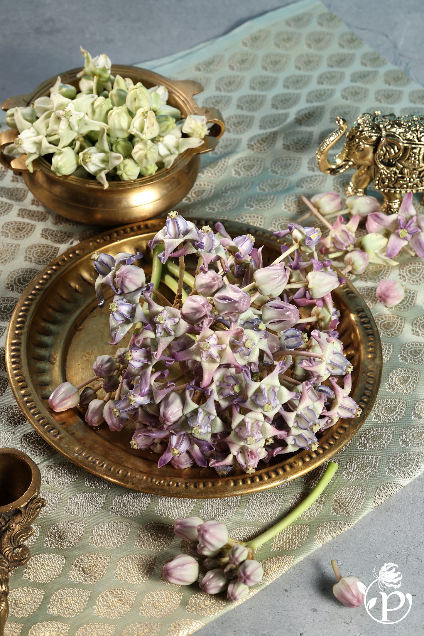 Erukkam Pushpam / Madar Flower