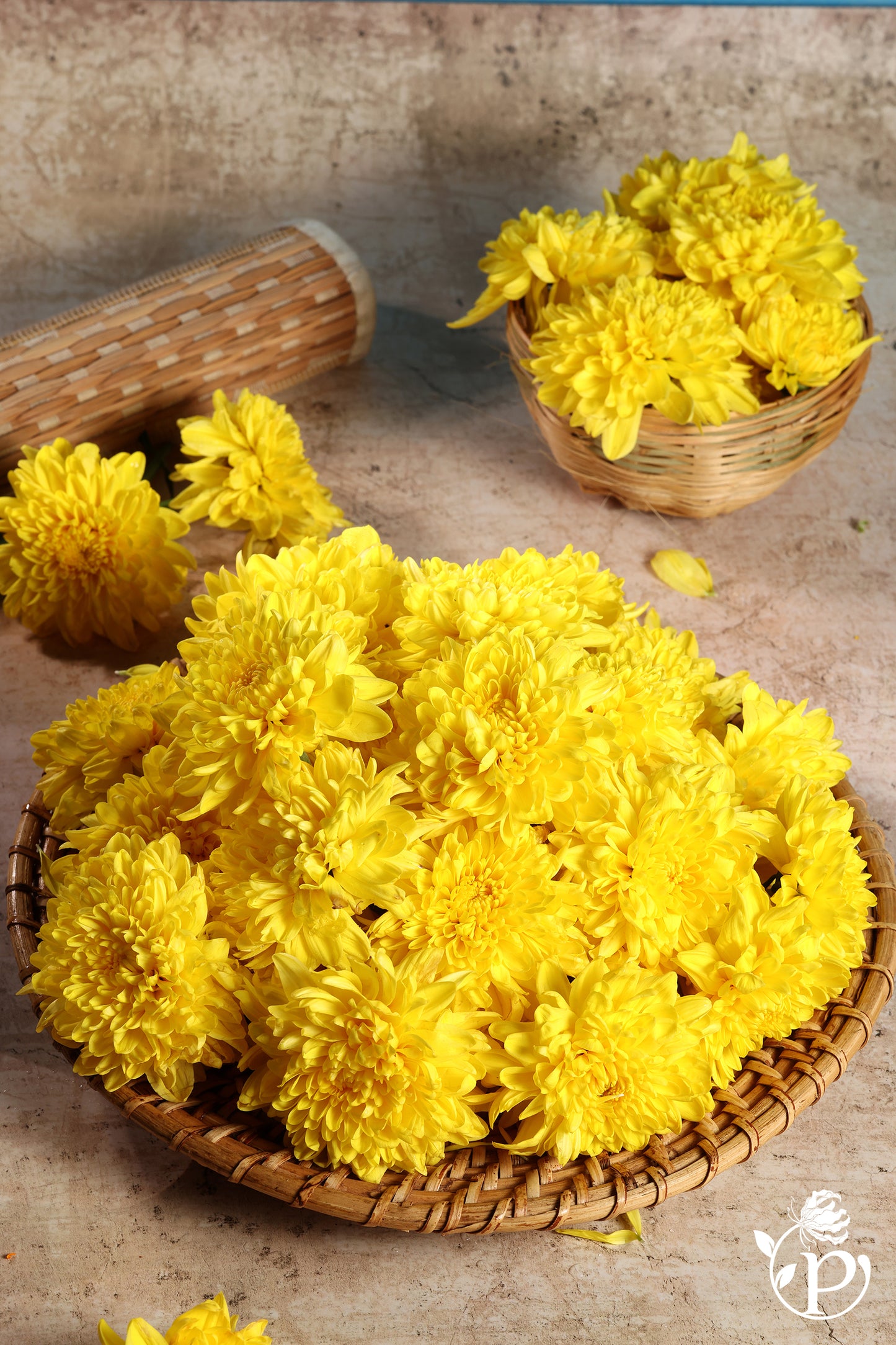 Samanthi / Chamanthi