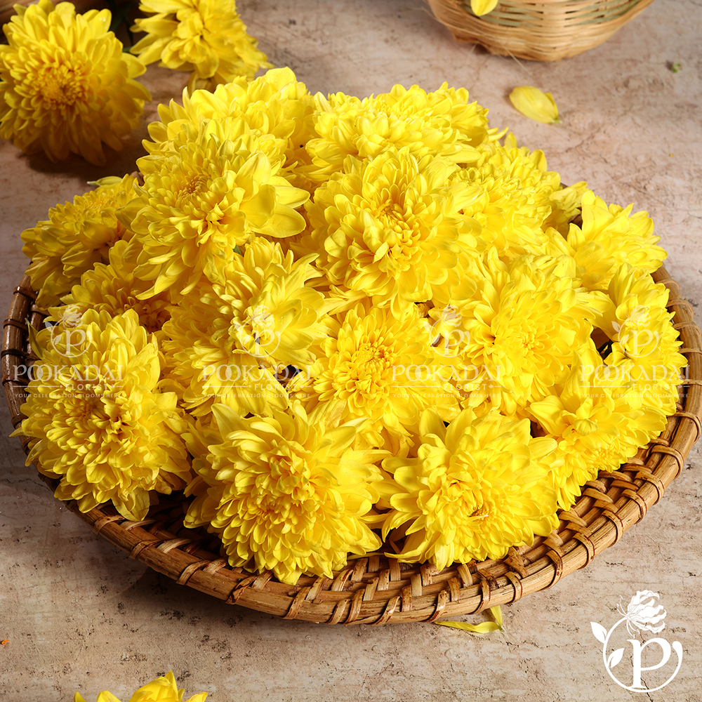 Samanthi (Chrysanthemum) Loose Flowers