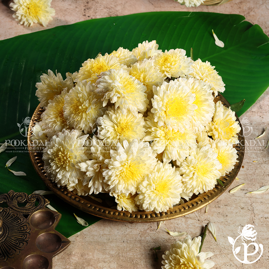 Samanthi / Chamanthi