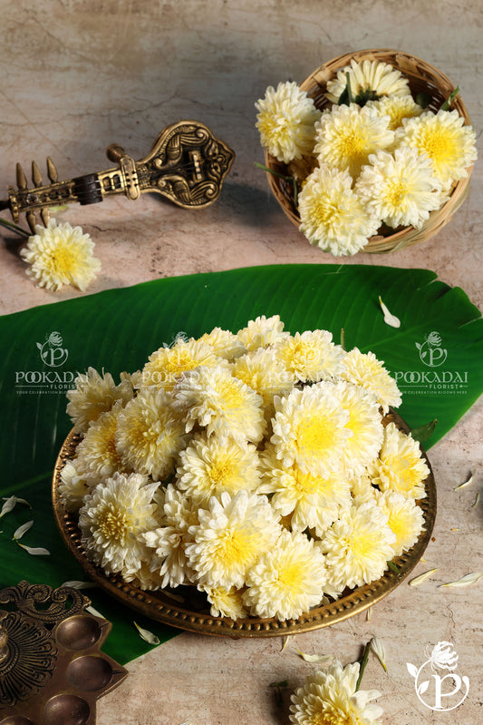 Samanthi / Chamanthi