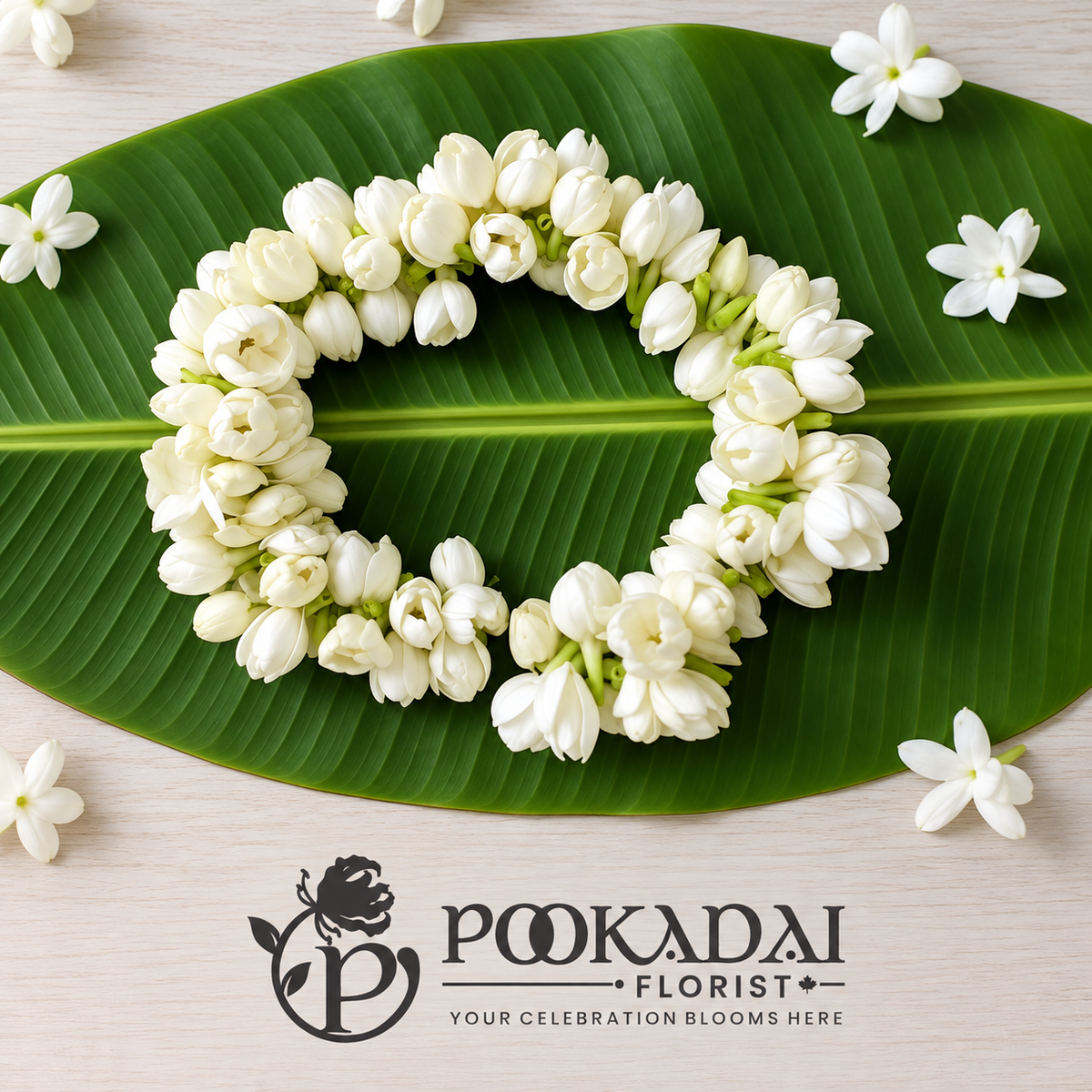 White jasmine string gajra arranged in a circular loop on a green banana leaf.
