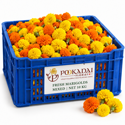 Fresh Marigold | Sevvanthi | Genda – Bulk Box (10 KG)