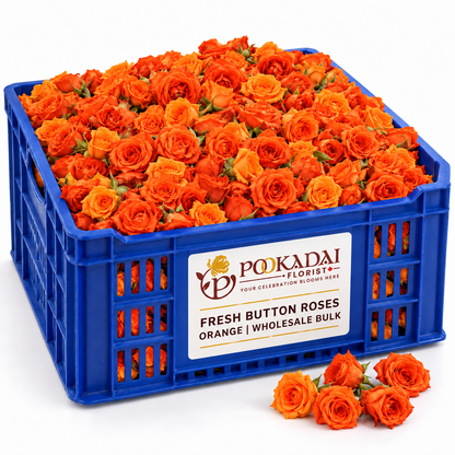 Fresh Button Roses – Bulk Box (10 KG)