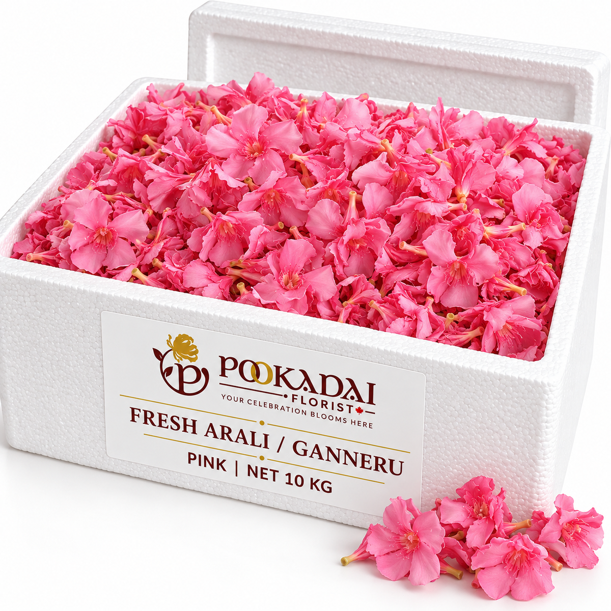 Fresh Arali / Ganneru Flowers – Bulk Box (10 KG)
