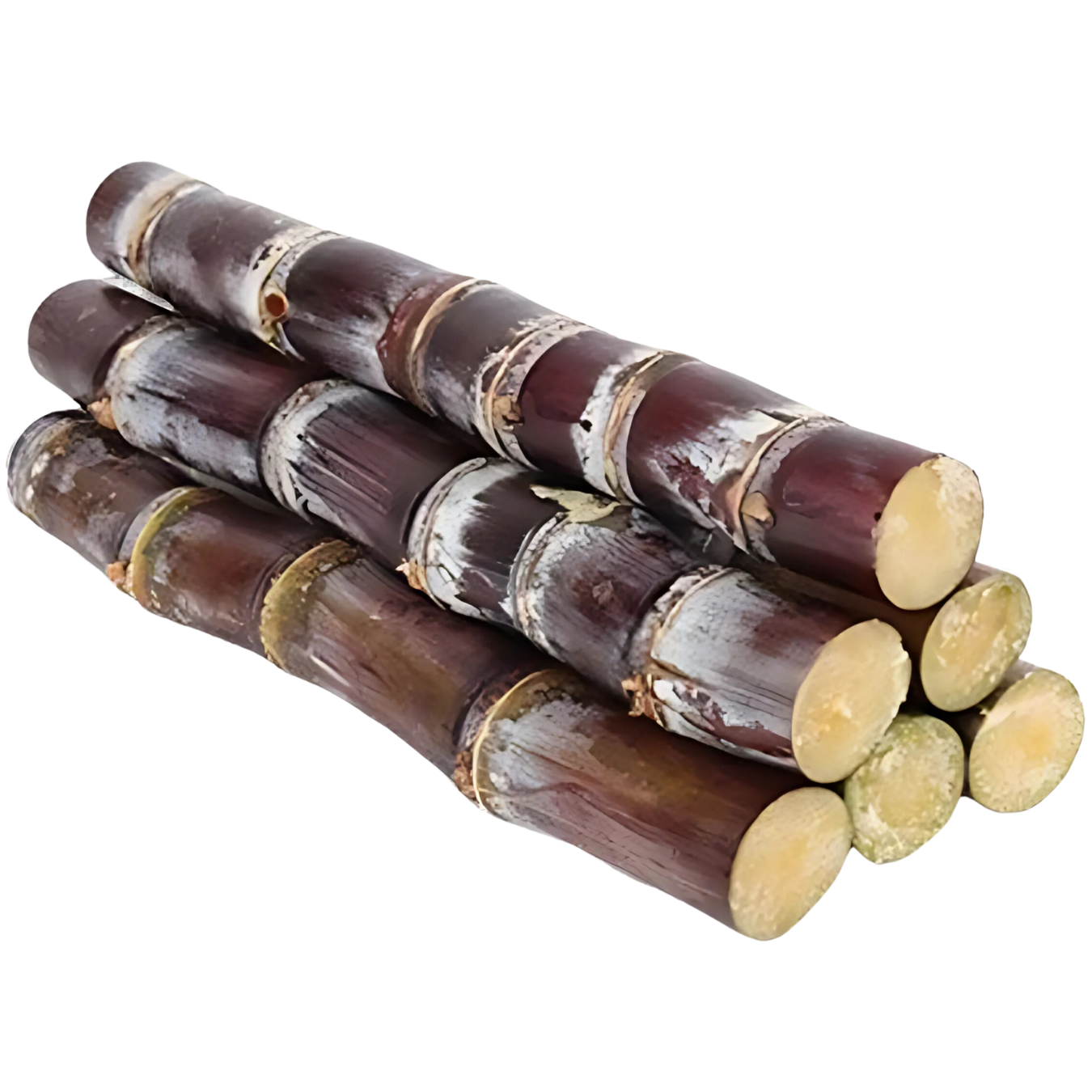 Sugar Cane - 1 Ft