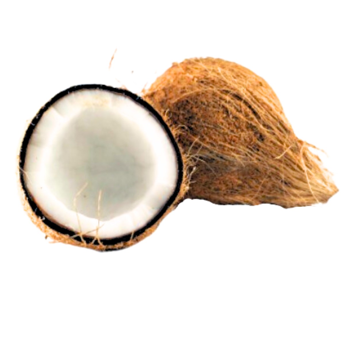 Pooja Coconut /Nariyal