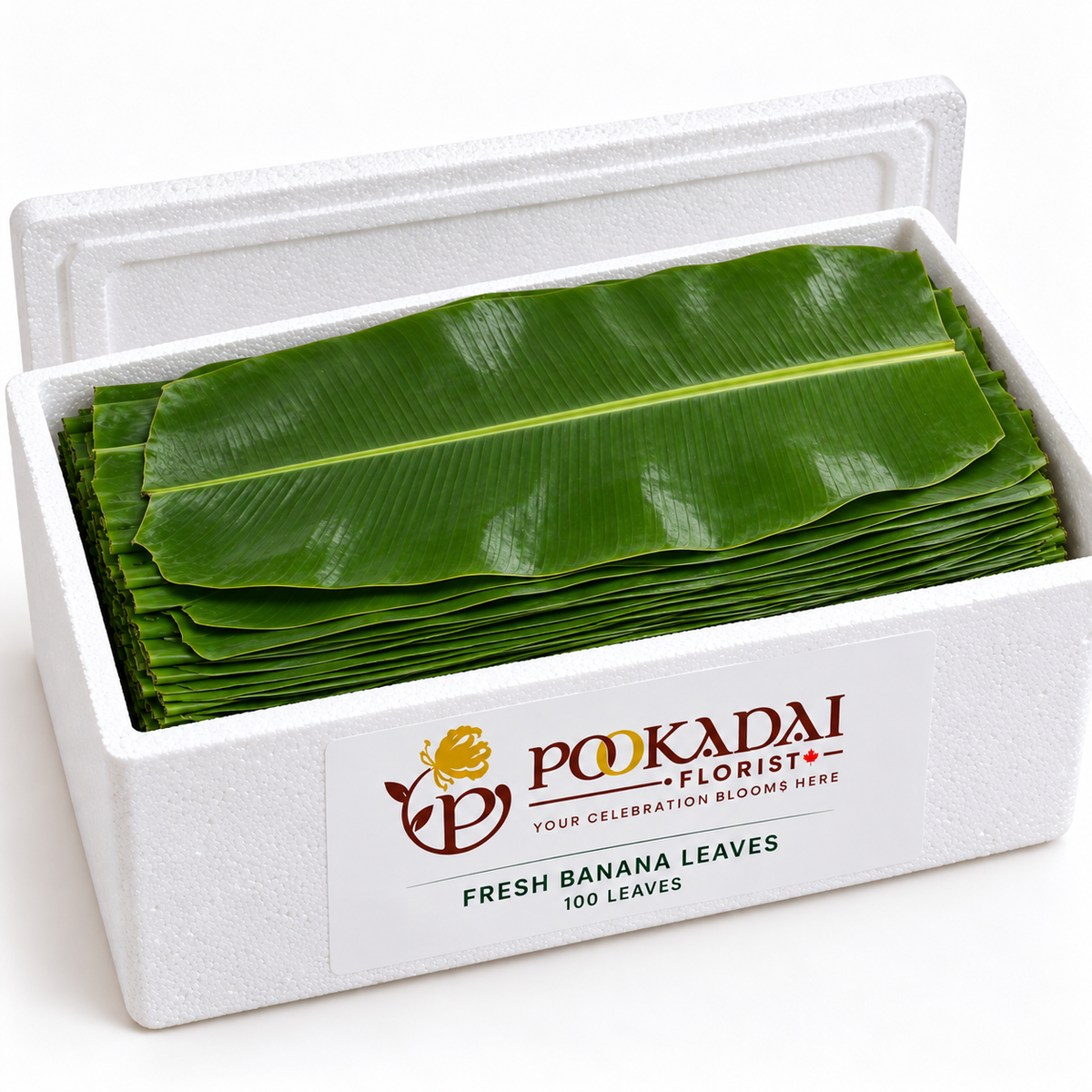 Fresh Banana Leaves | Vazhai Elai – Bulk Box (100 Leaves)