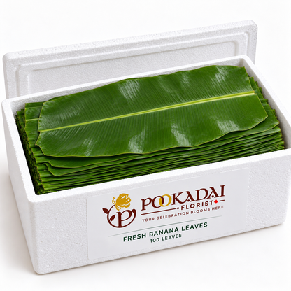 Fresh Banana Leaves | Vazhai Elai – Bulk Box (100 Leaves)