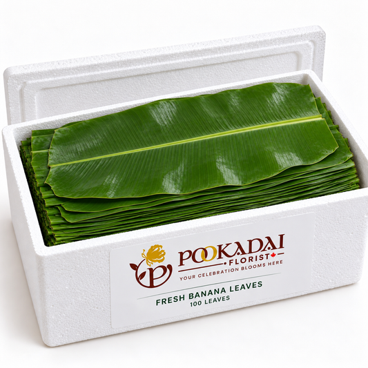 Fresh Banana Leaves | Vazhai Elai – Bulk Box (100 Leaves)