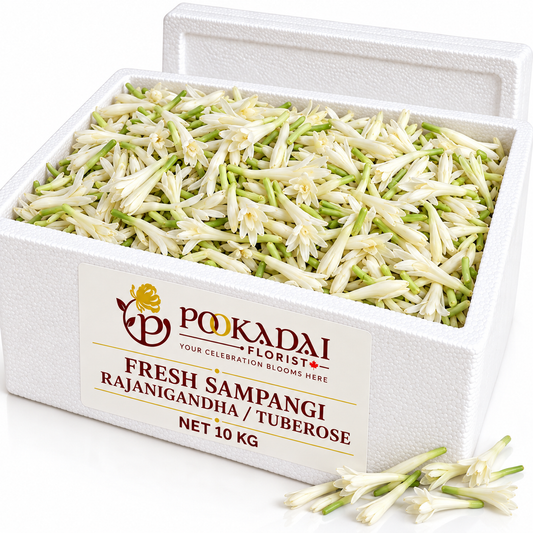 Sampangi | Rajanigandha | Tuberose – Bulk Box (10 KG)
