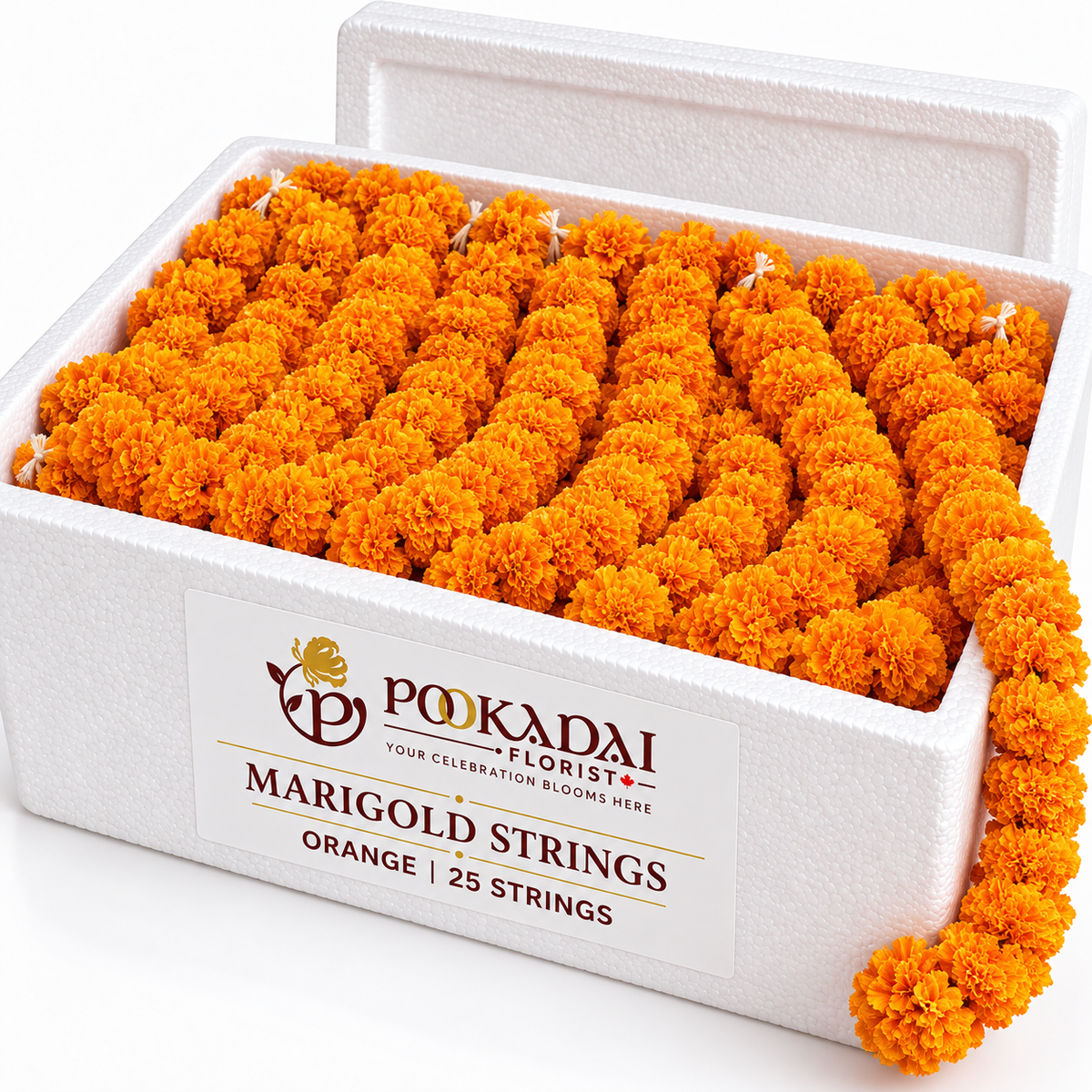 Marigold Strings – Bulk Box (25 Strings)