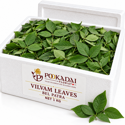 Vilvam Leaves | Bel Patra – Bulk Box (1 KG Styrofoam Box)