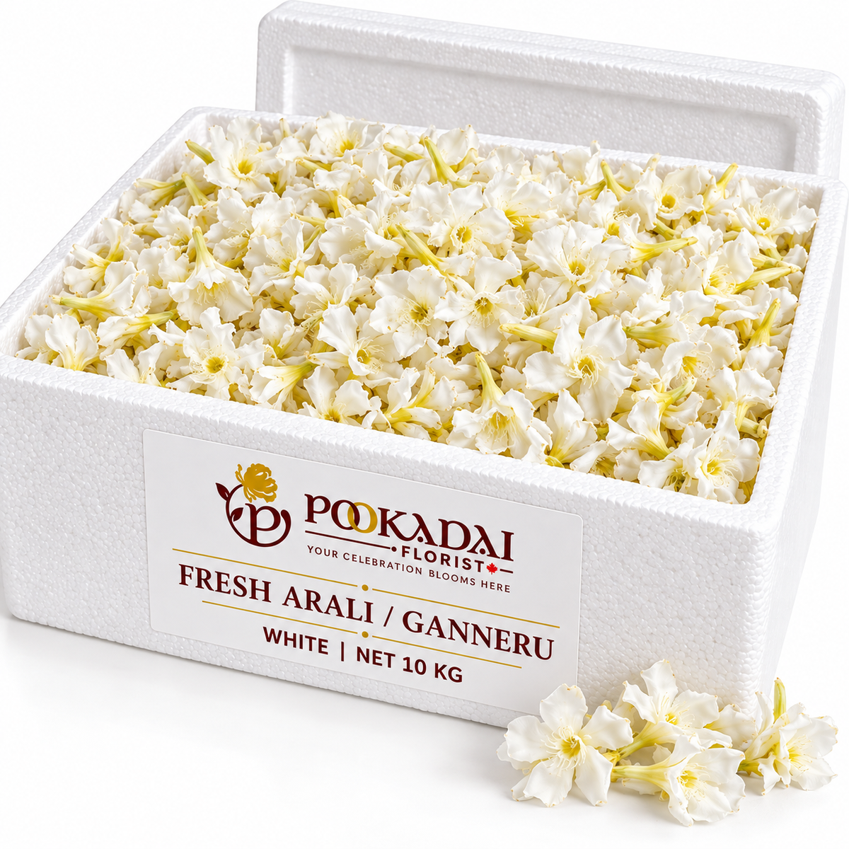 Fresh Arali / Ganneru Flowers – Bulk Box (10 KG)