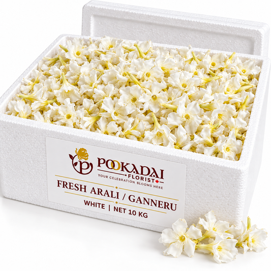 Fresh Arali / Ganneru Flowers – Bulk Box (10 KG)