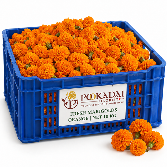 Fresh Marigold | Sevvanthi | Genda – Bulk Box (10 KG)