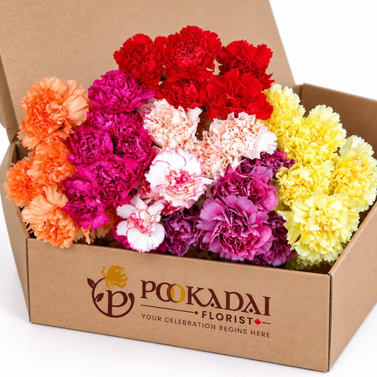 Fresh Carnations – Assorted – Bulk Box (500 Stems)