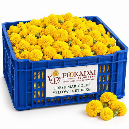 Fresh Marigold | Sevvanthi | Genda – Bulk Box (10 KG)