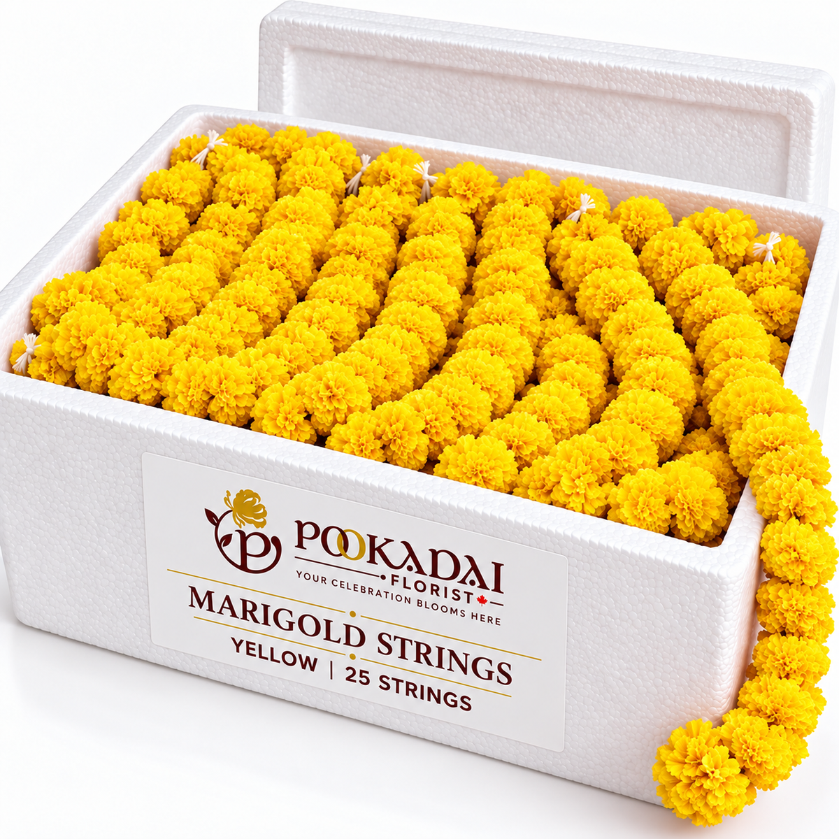 Marigold Strings – Bulk Box (25 Strings)