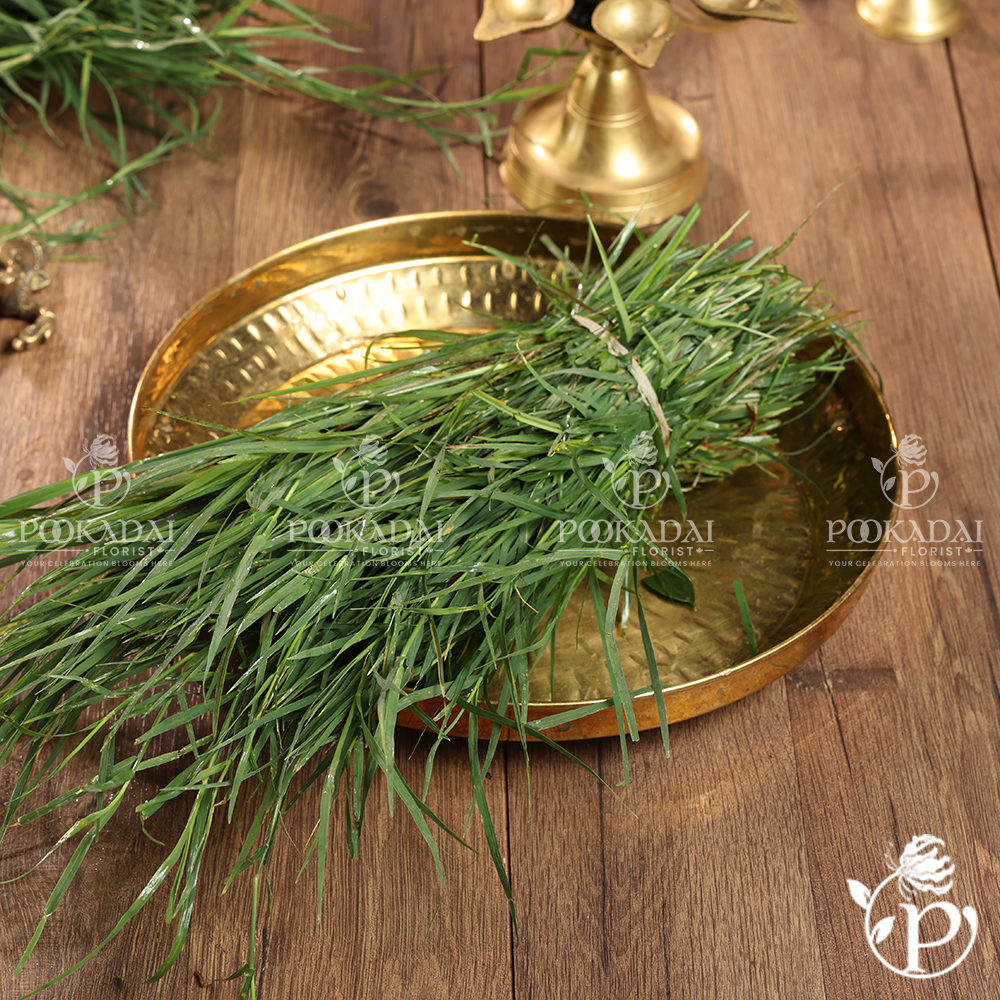 Arugam Grass | Sacred Grass |  Durva Grass