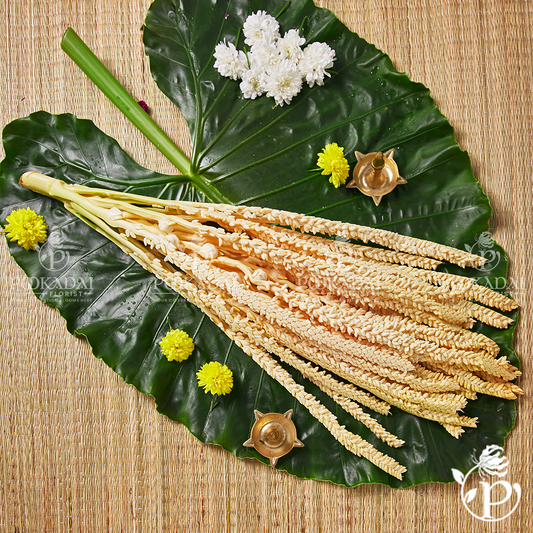 Coconut Flower | Thennampalai | Nariyal Phool