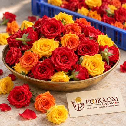 Fresh Button Roses – Bulk Box (10 KG)