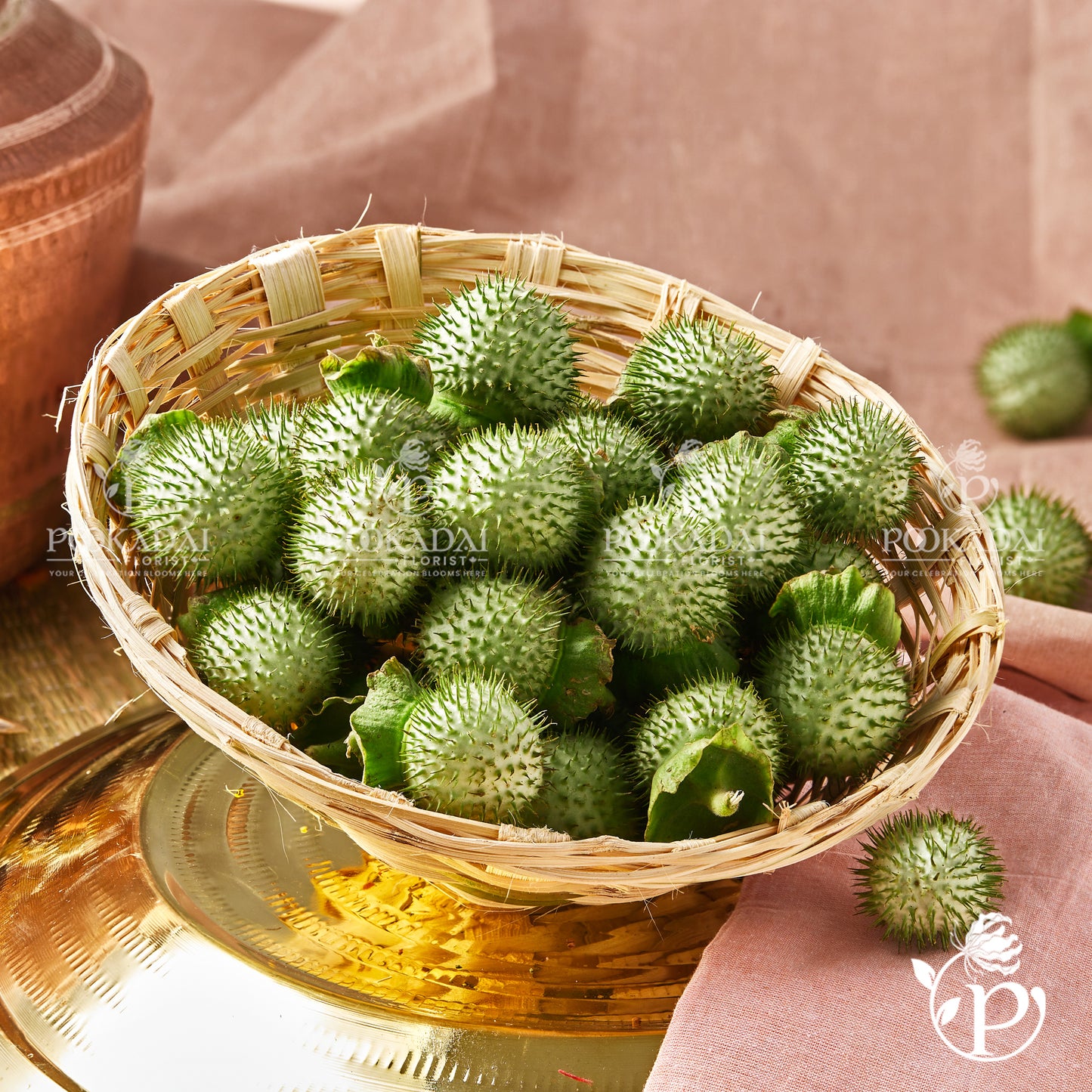 Datura Fruit (Moon Seeds)