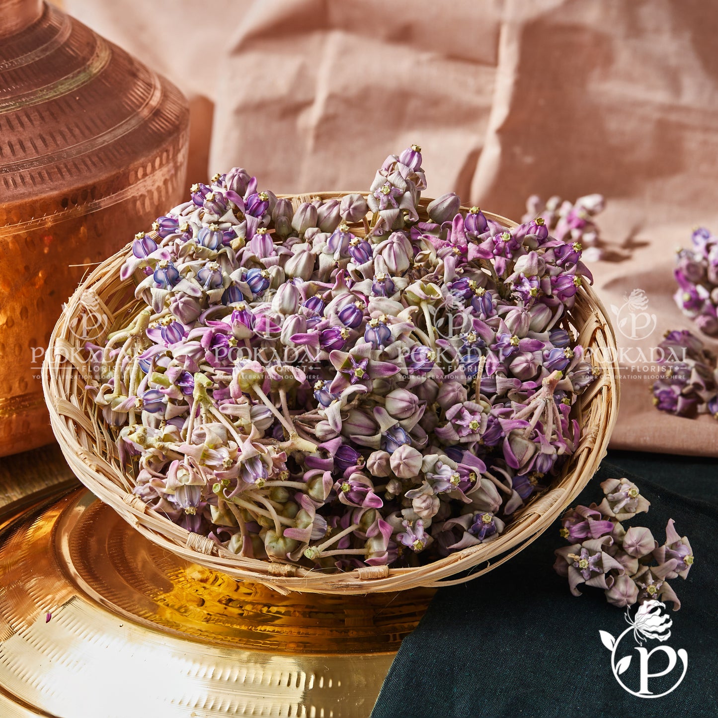 Erukkam Pushpam | Madar Flower | Crown Flower