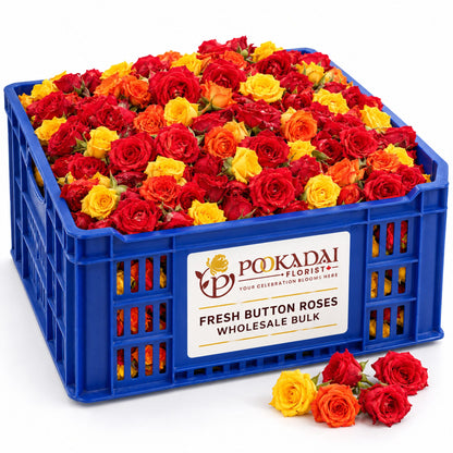 Fresh Button Roses – Bulk Box (10 KG)