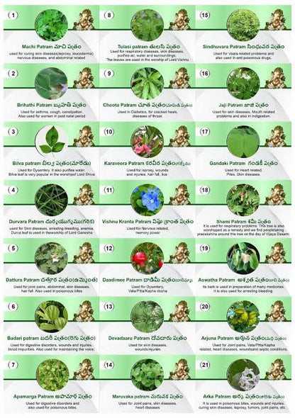 Leaves For Ganesh Patri Pooja