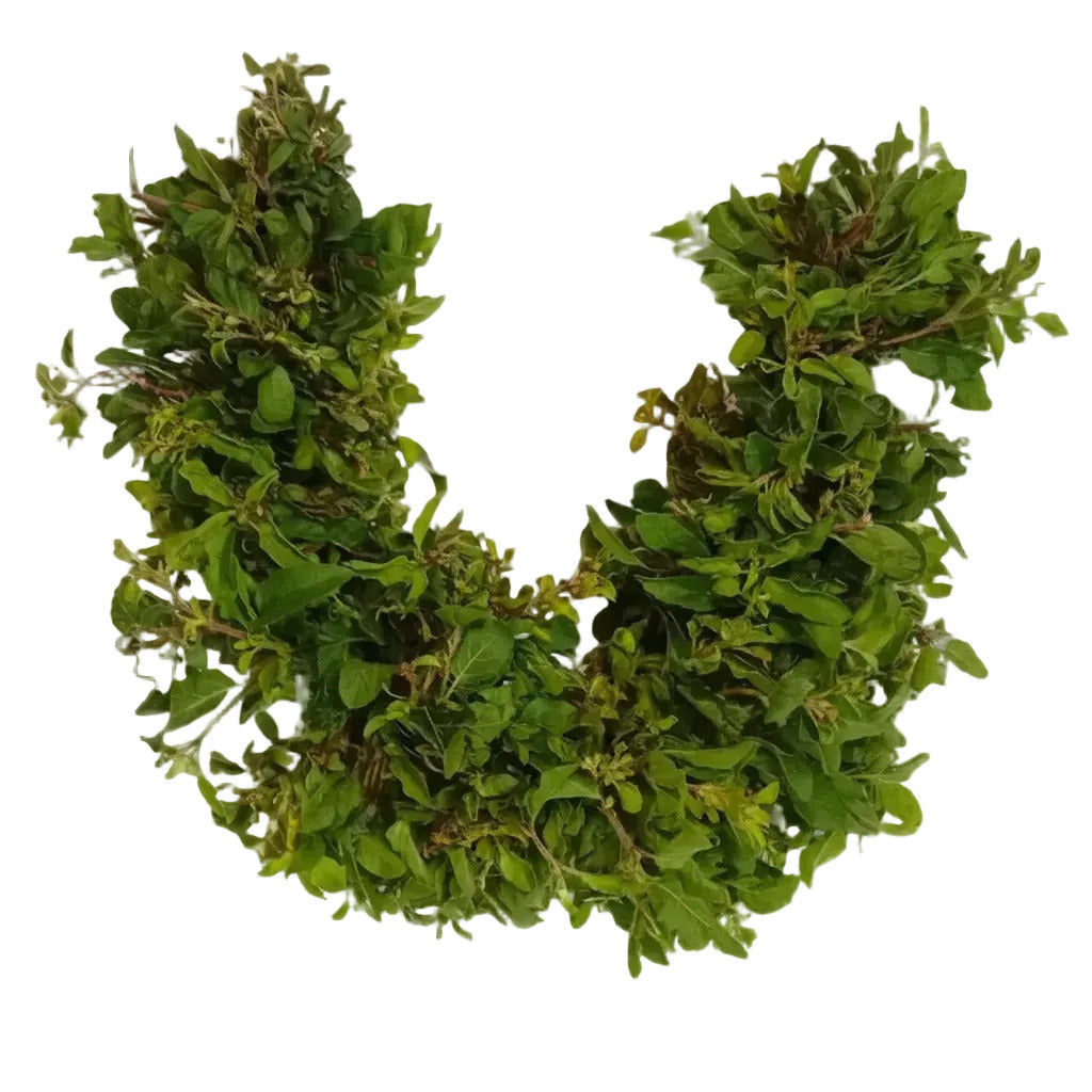 Tulsi Thick Saram/Strings